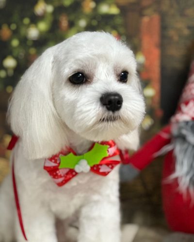 WhatsApp Image 2026-02-27 at 23.58.55