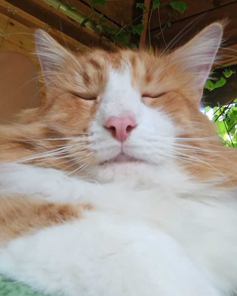 WhatsApp Image 2026-03-03 at 22.01.37